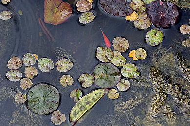 小岛工作室成立七周年 小岛秀夫发文庆祝